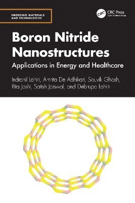 bokomslag Boron Nitride Nanostructures
