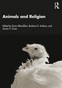 bokomslag Animals and Religion