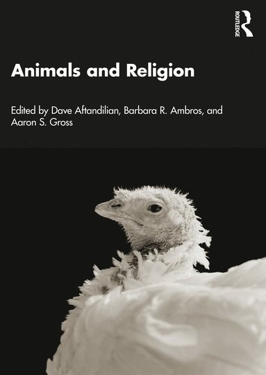 bokomslag Animals and Religion