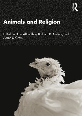 Animals and Religion 1