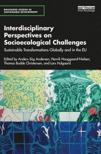 bokomslag Interdisciplinary Perspectives on Socioecological Challenges