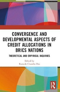 bokomslag Convergence and Developmental Aspects of Credit Allocations in BRICS Nations