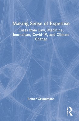 Making Sense of Expertise 1
