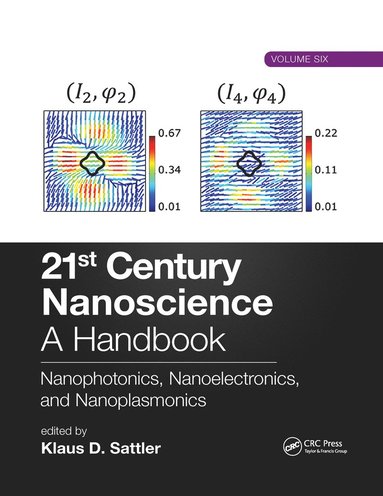 bokomslag 21st Century Nanoscience - A Handbook