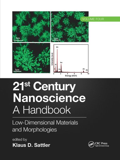 bokomslag 21st Century Nanoscience - A Handbook