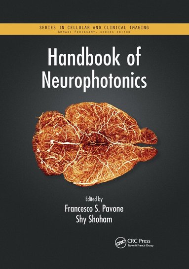 Francesco S. Pavone, Shy Shoham - Handbook of Neurophotonics, Häftad
