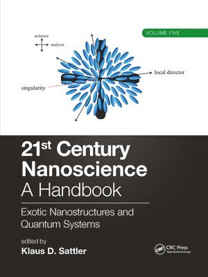 bokomslag 21st Century Nanoscience - A Handbook