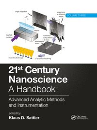 bokomslag 21st Century Nanoscience - A Handbook
