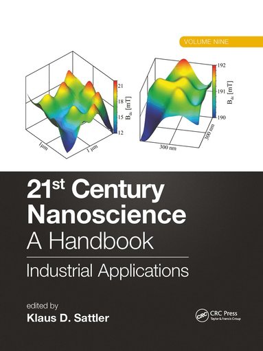 Klaus D. Sattler - 21st Century Nanoscience – A Handbook, Häftad