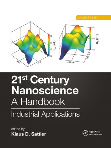 bokomslag 21st Century Nanoscience - A Handbook