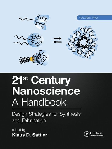 Klaus D. Sattler - 21st Century Nanoscience – A Handbook, Häftad
