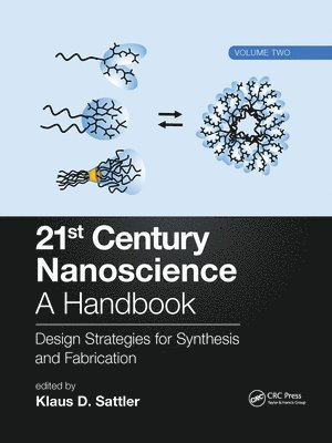 bokomslag 21st Century Nanoscience  A Handbook