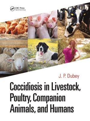 bokomslag Coccidiosis in Livestock, Poultry, Companion Animals, and Humans