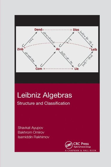 bokomslag Leibniz Algebras