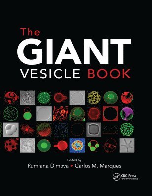 The Giant Vesicle Book 1