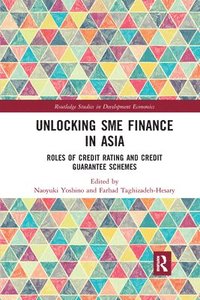 bokomslag Unlocking SME Finance in Asia