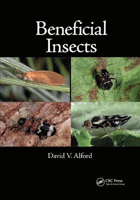 Beneficial Insects 1