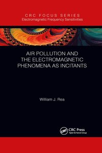 bokomslag Air Pollution and the Electromagnetic Phenomena as Incitants