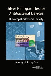 bokomslag Silver Nanoparticles for Antibacterial Devices