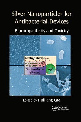 Silver Nanoparticles for Antibacterial Devices 1