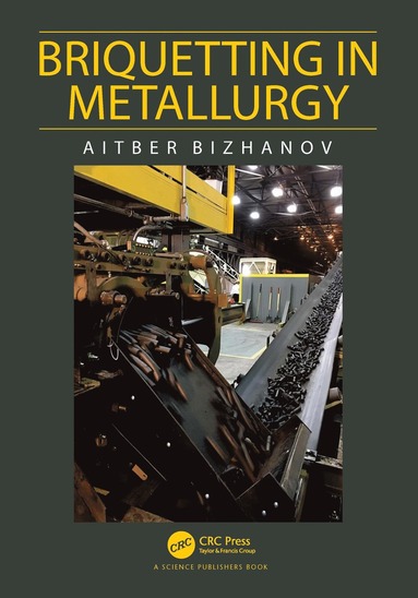 bokomslag Briquetting in Metallurgy