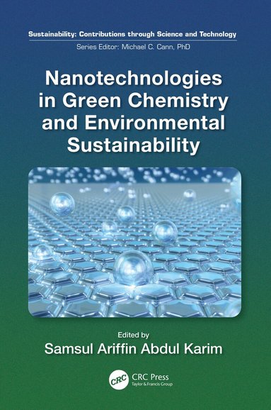 Samsul Ariffin Abdul Karim - Nanotechnologies in Green Chemistry and Environmental Sustainability, Häftad