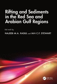 bokomslag Rifting and Sediments in the Red Sea and Arabian Gulf Regions