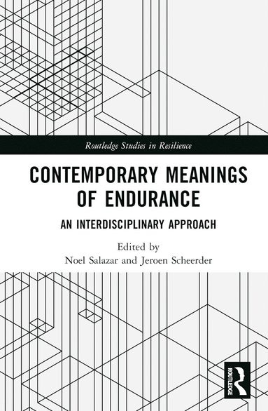 bokomslag Contemporary Meanings of Endurance