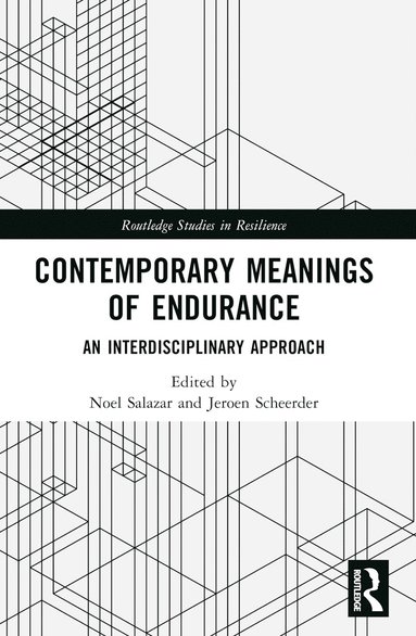 bokomslag Contemporary Meanings of Endurance