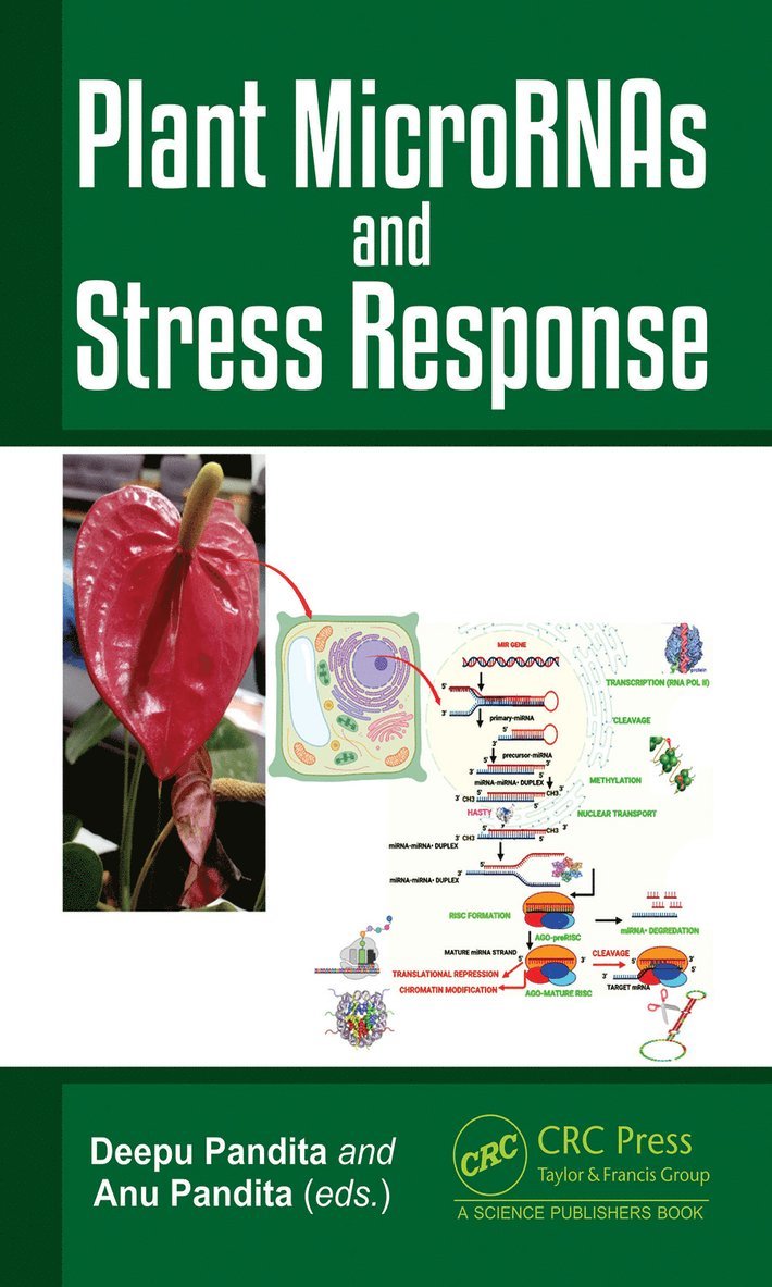 Deepu Pandita, Anu Pandita - Plant MicroRNAs and Stress Response, Inbunden