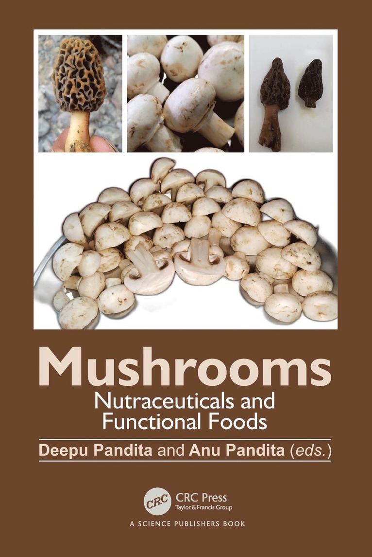 Mushrooms 1