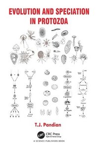 bokomslag Evolution and Speciation in Protozoa