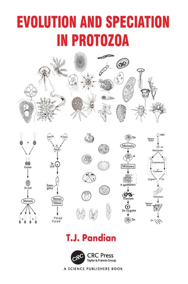 bokomslag Evolution and Speciation in Protozoa