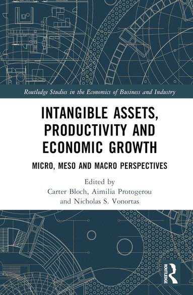 bokomslag Intangible Assets, Productivity and Economic Growth