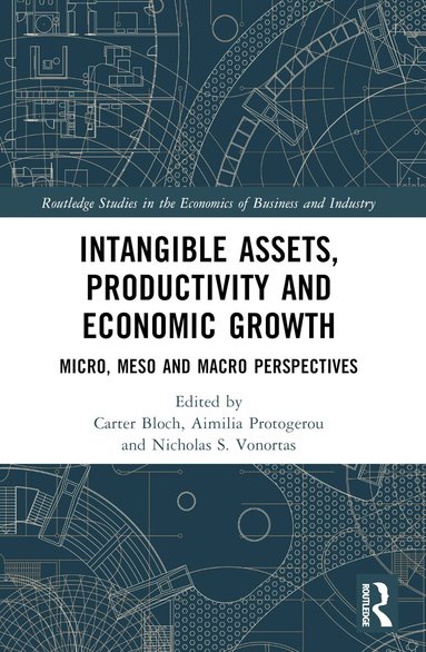 Carter Bloch, Aimilia Protogerou, Nicholas S. Vonortas - Intangible Assets, Productivity and Economic Growth, Häftad
