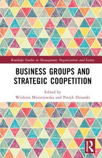 bokomslag Business Groups and Strategic Coopetition