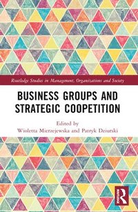 bokomslag Business Groups and Strategic Coopetition