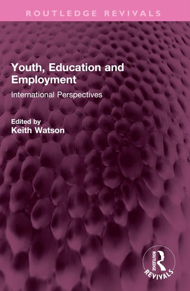 bokomslag Youth, Education and Employment