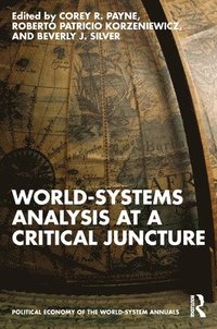 bokomslag World-Systems Analysis at a Critical Juncture