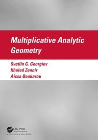 bokomslag Multiplicative Analytic Geometry