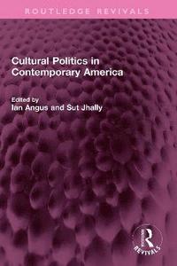 bokomslag Cultural Politics in Contemporary America