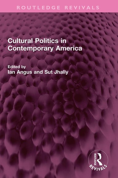 bokomslag Cultural Politics in Contemporary America