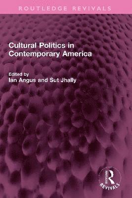 Cultural Politics in Contemporary America 1
