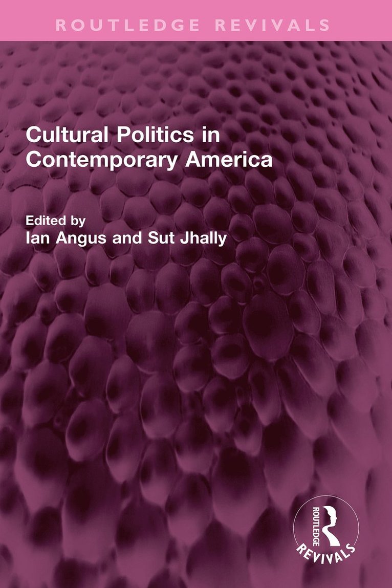 Cultural Politics in Contemporary America 1