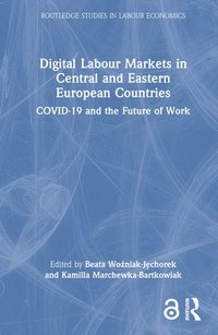 bokomslag Digital Labour Markets in Central and Eastern European Countries