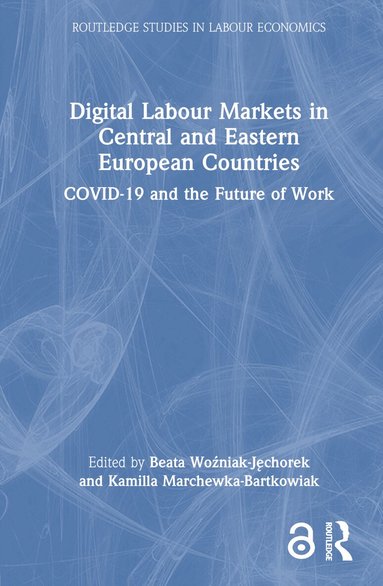 Beata Woźniak-Jęchorek, Kamilla Marchewka-Bartkowiak - Digital Labour Markets in Central and Eastern European Countries, Inbunden