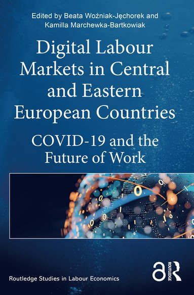 bokomslag Digital Labour Markets in Central and Eastern European Countries