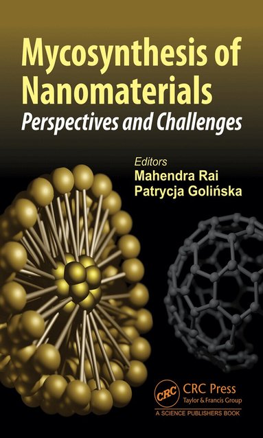 Mahendra Rai, Patrycja Golinska - Mycosynthesis of Nanomaterials, Inbunden