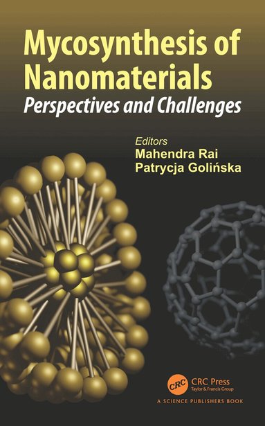 Mahendra Rai, Patrycja Golinska - Mycosynthesis of Nanomaterials, Häftad