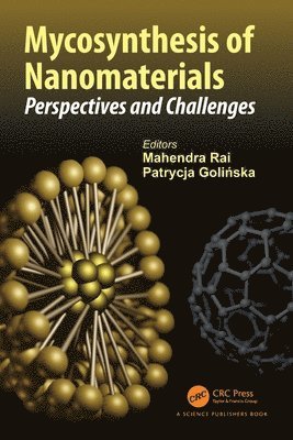 Mycosynthesis of Nanomaterials 1